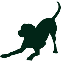 dog-jump